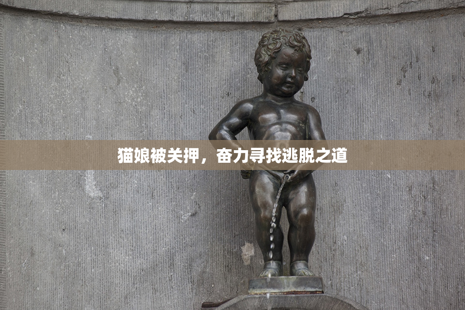 猫娘被关押，奋力寻找逃脱之道
