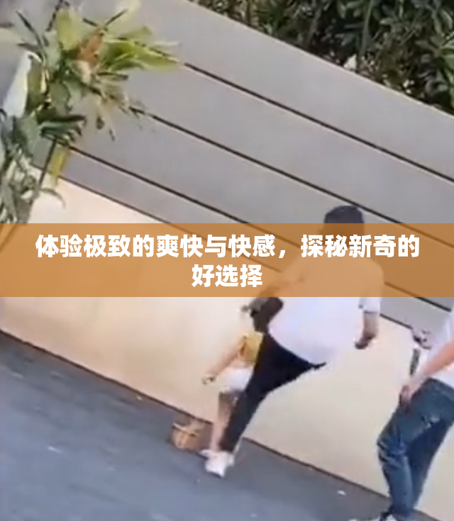 体验极致的爽快与快感，探秘新奇的好选择