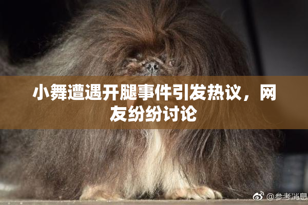 小舞遭遇开腿事件引发热议，网友纷纷讨论