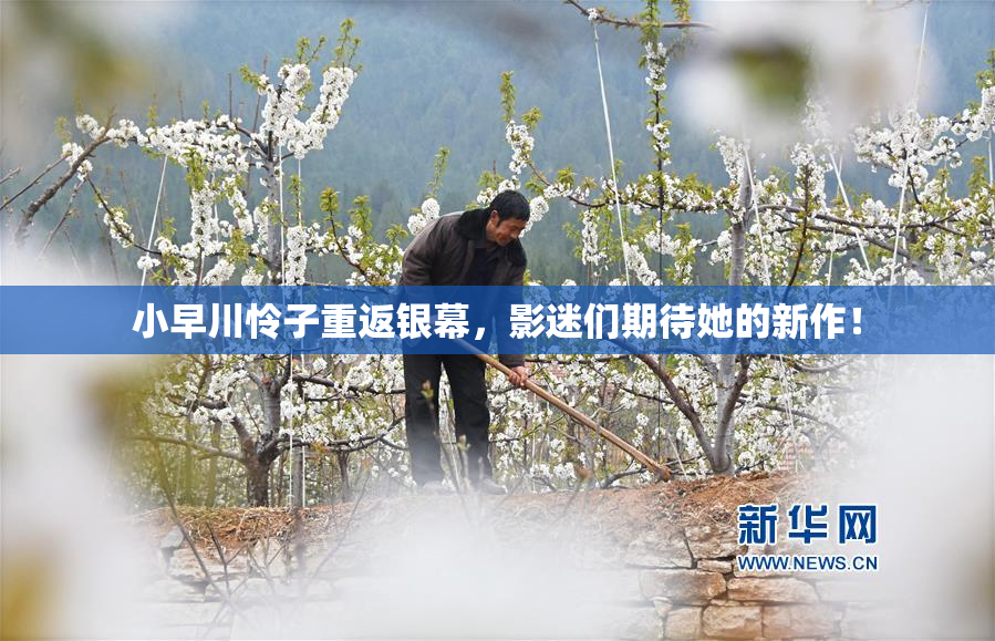 小早川怜子重返银幕，影迷们期待她的新作！