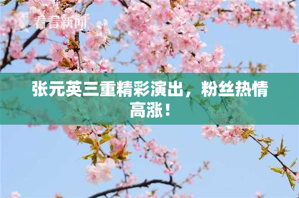 张元英三重精彩演出，粉丝热情高涨！