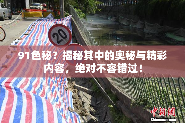 91色秘？揭秘其中的奥秘与精彩内容，绝对不容错过！