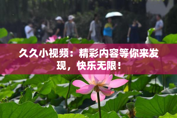 久久小视频：精彩内容等你来发现，快乐无限！