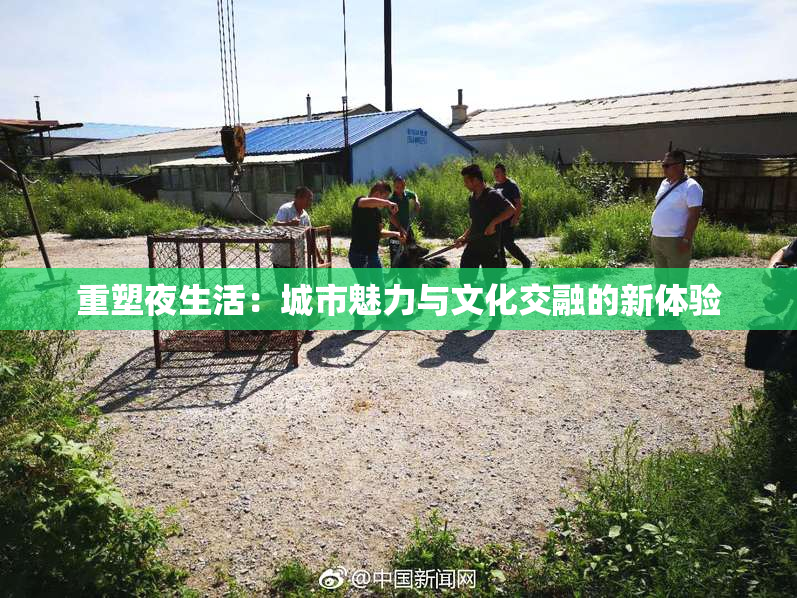 重塑夜生活：城市魅力与文化交融的新体验