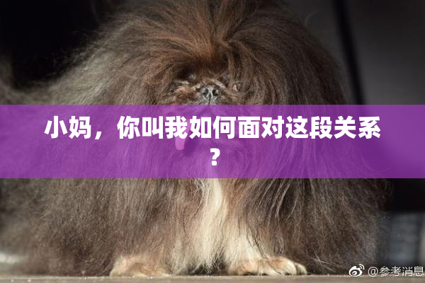 小妈，你叫我如何面对这段关系？