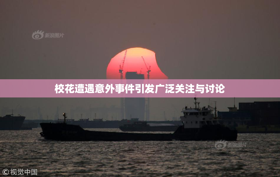 校花遭遇意外事件引发广泛关注与讨论