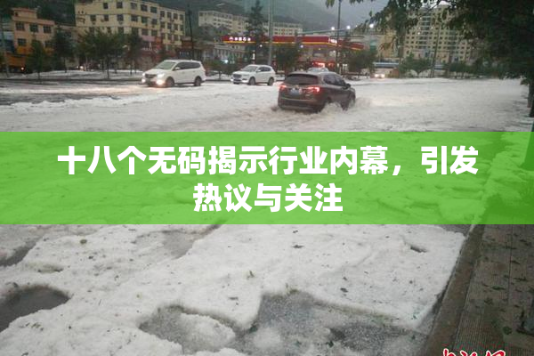 十八个无码揭示行业内幕，引发热议与关注