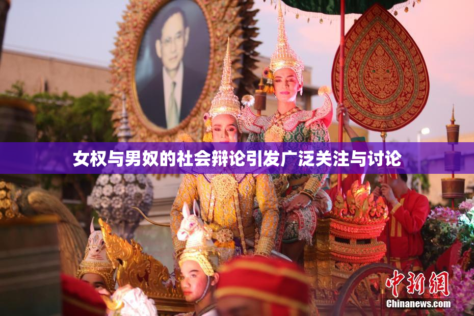 女权与男奴的社会辩论引发广泛关注与讨论