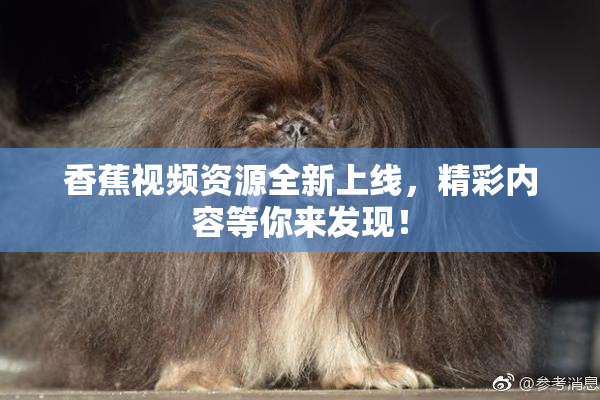香蕉视频资源全新上线，精彩内容等你来发现！