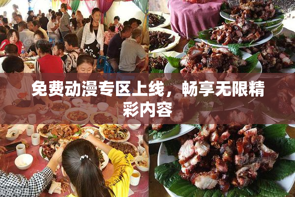 免费动漫专区上线，畅享无限精彩内容