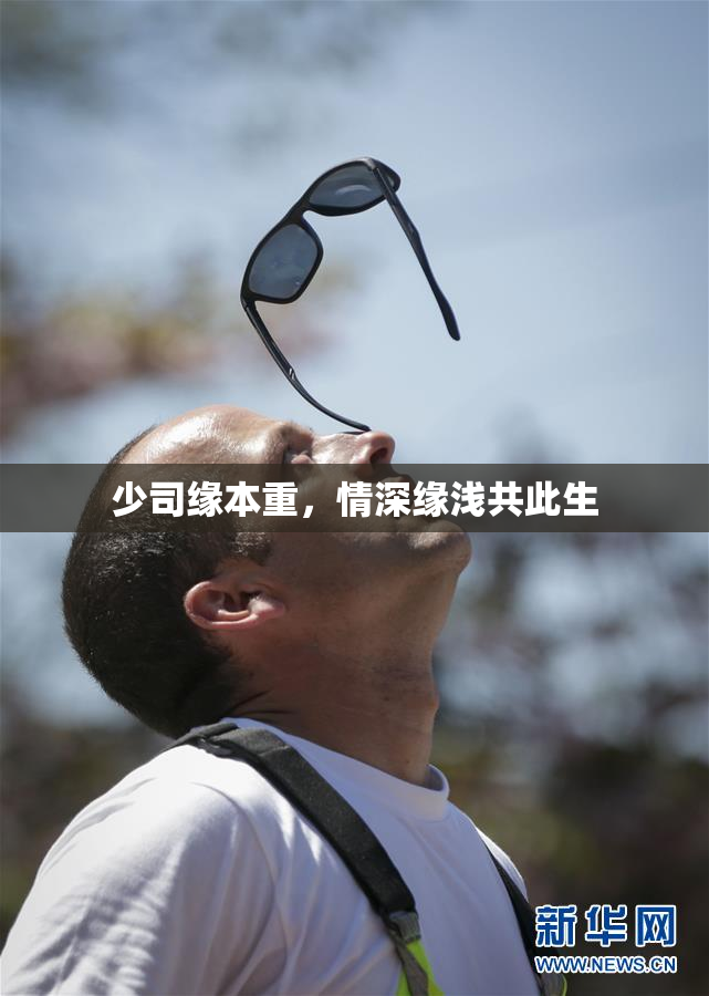 少司缘本重，情深缘浅共此生