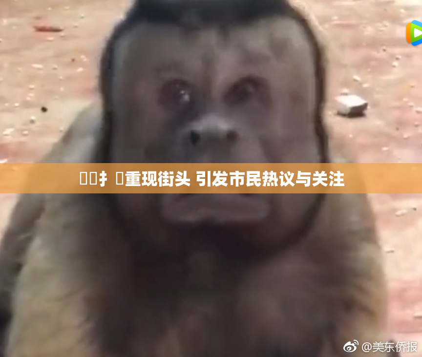 喿喿扌畐重现街头 引发市民热议与关注