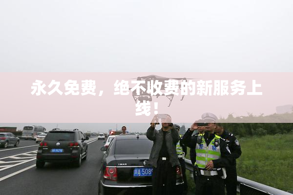 永久免费，绝不收费的新服务上线！