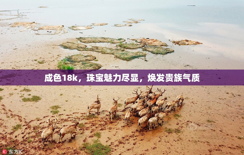 成色18k，珠宝魅力尽显，焕发贵族气质