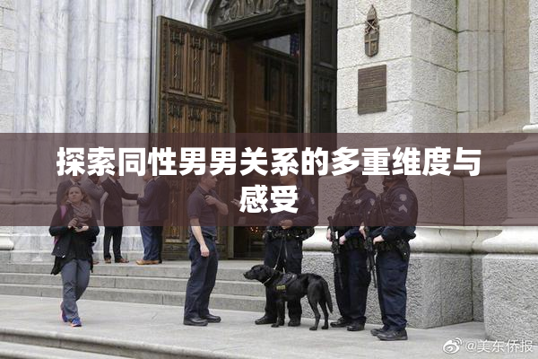 探索同性男男关系的多重维度与感受