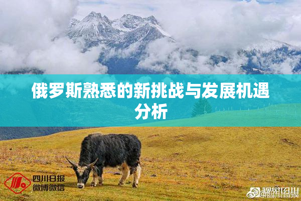 俄罗斯熟悉的新挑战与发展机遇分析