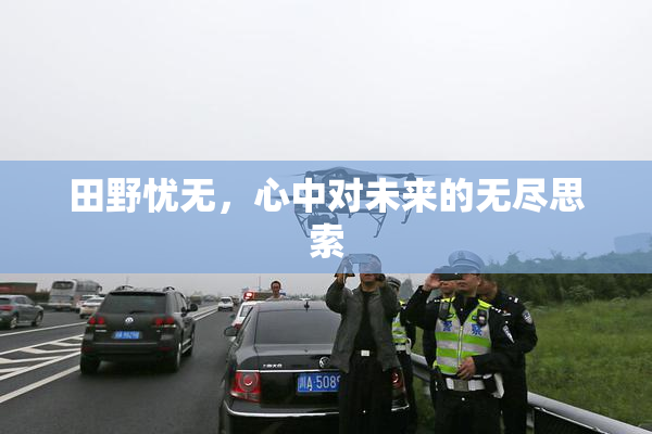 田野忧无，心中对未来的无尽思索