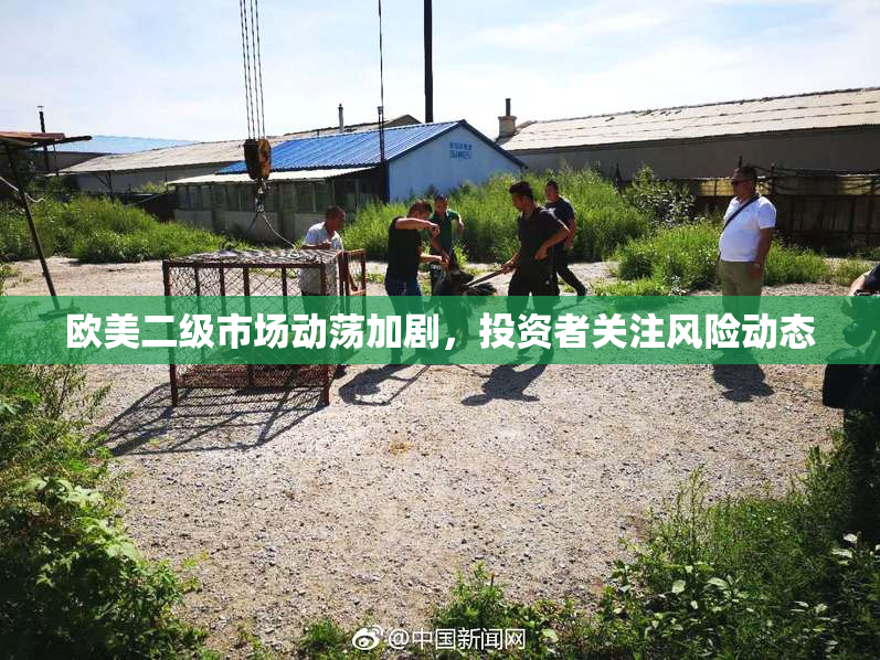 欧美二级市场动荡加剧，投资者关注风险动态
