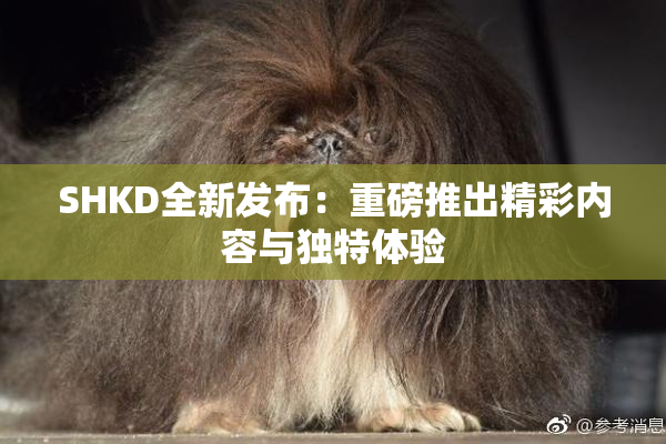 SHKD全新发布：重磅推出精彩内容与独特体验