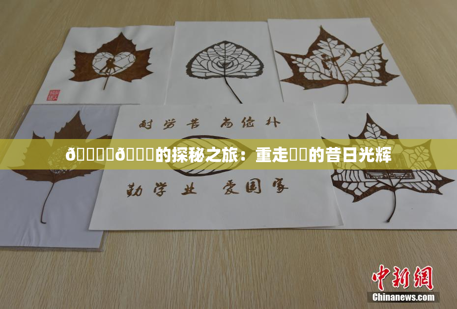 🔞‌🍌的探秘之旅：重走❌‌的昔日光辉