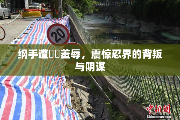 纲手遭❌‌羞辱，震惊忍界的背叛与阴谋