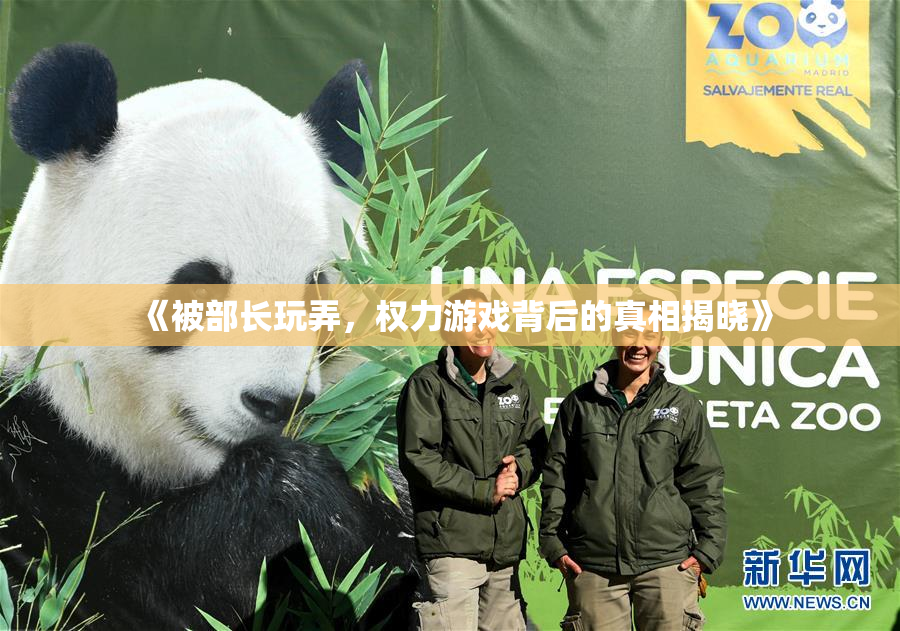 《被部长玩弄，权力游戏背后的真相揭晓》