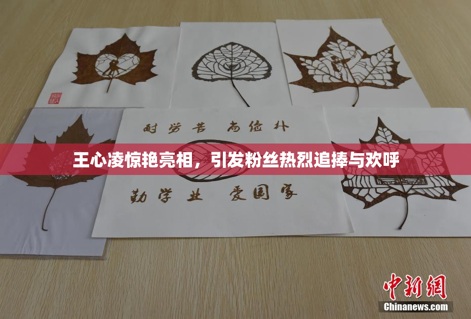 王心凌惊艳亮相，引发粉丝热烈追捧与欢呼