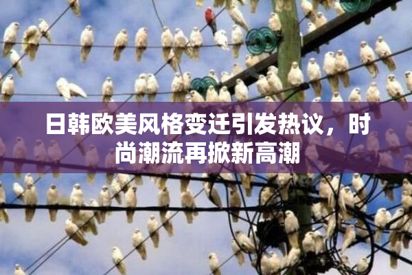 日韩欧美风格变迁引发热议，时尚潮流再掀新高潮