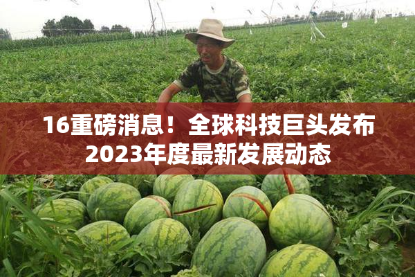 16重磅消息！全球科技巨头发布2023年度最新发展动态