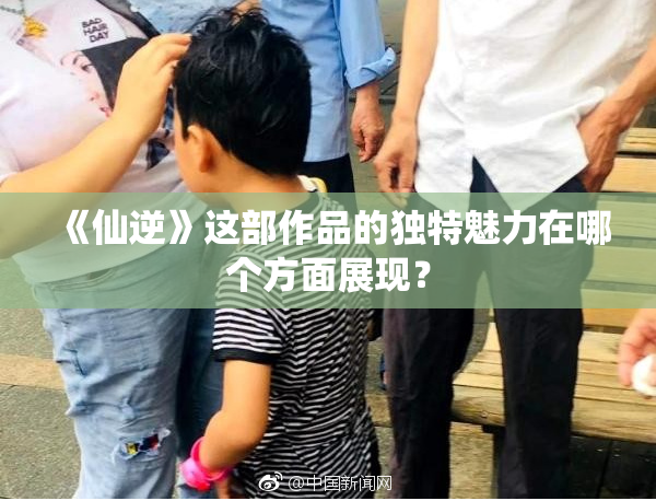 《仙逆》这部作品的独特魅力在哪个方面展现？