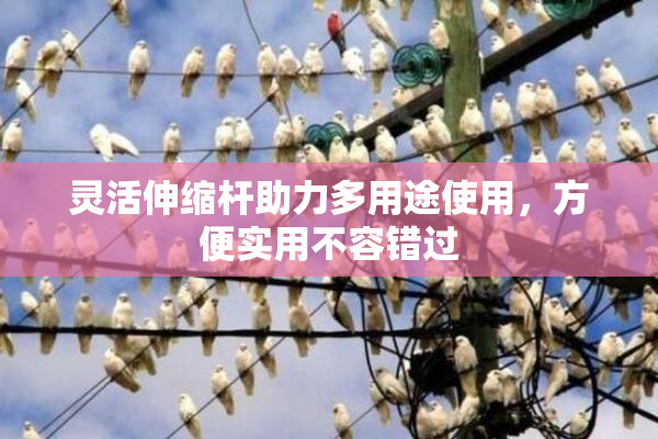灵活伸缩杆助力多用途使用，方便实用不容错过