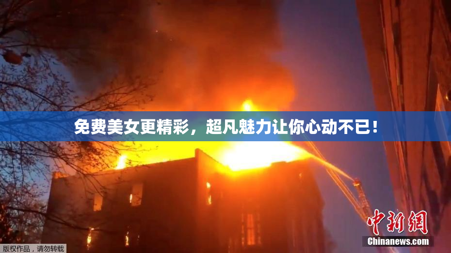 免费美女更精彩，超凡魅力让你心动不已！