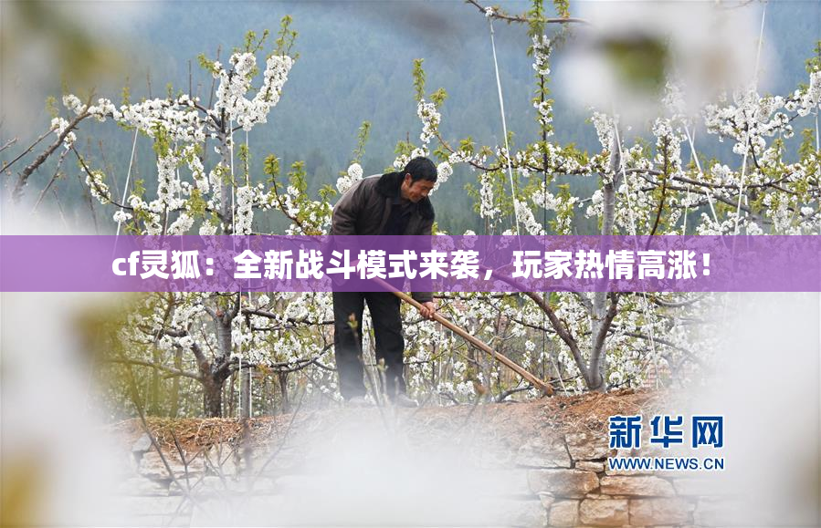 cf灵狐：全新战斗模式来袭，玩家热情高涨！