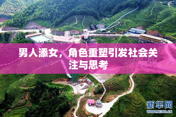 男人添女，角色重塑引发社会关注与思考