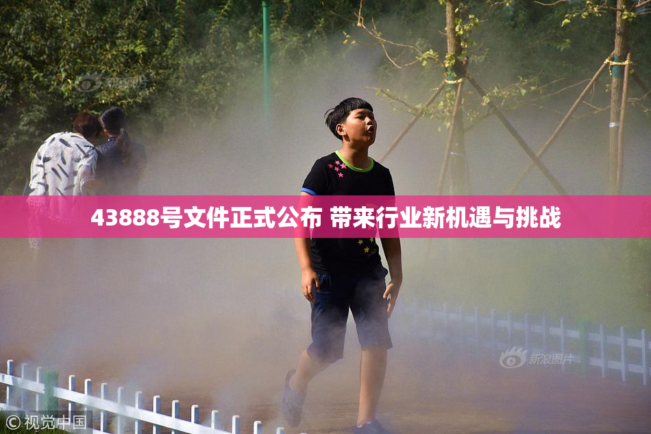 43888号文件正式公布 带来行业新机遇与挑战