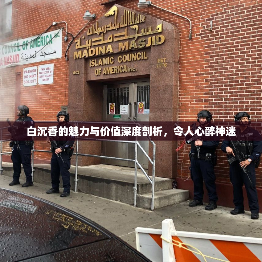 白沉香的魅力与价值深度剖析，令人心醉神迷