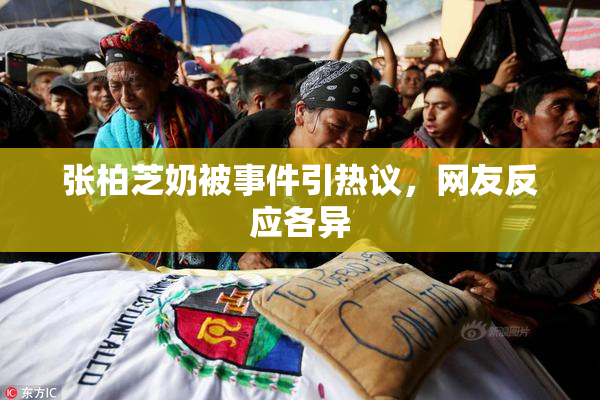 张柏芝奶被事件引热议，网友反应各异
