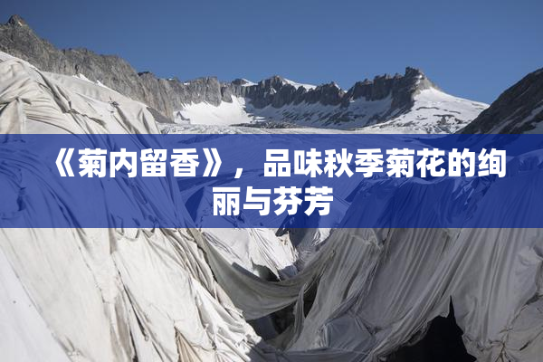 《菊内留香》，品味秋季菊花的绚丽与芬芳