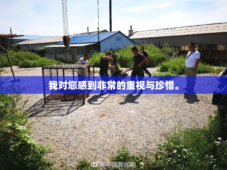 我对您感到非常的重视与珍惜。