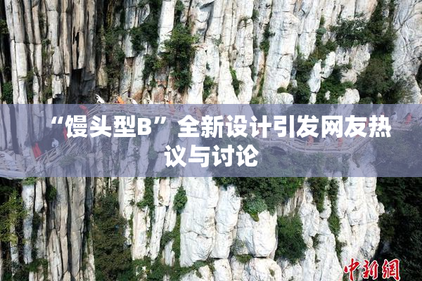 “馒头型B”全新设计引发网友热议与讨论