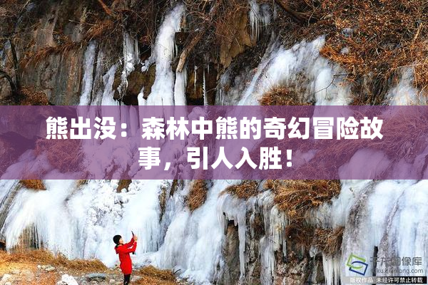 熊出没：森林中熊的奇幻冒险故事，引人入胜！