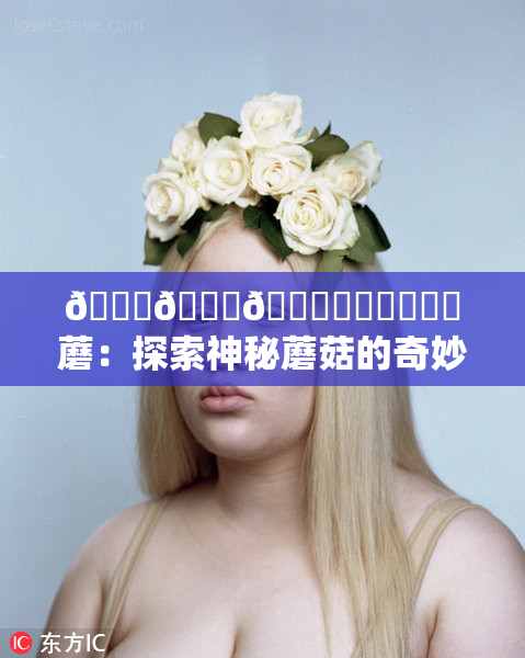 🍆🍑🔞❌‌❌‌❌‌蘑：探索神秘蘑菇的奇妙世界与其生态价值