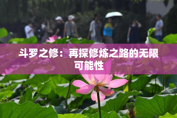 斗罗之修：再探修炼之路的无限可能性