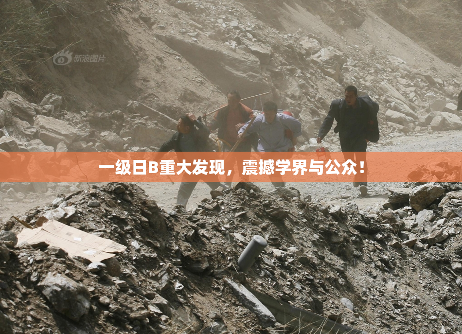 一级日B重大发现，震撼学界与公众！