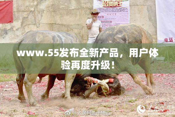 www.55发布全新产品，用户体验再度升级！