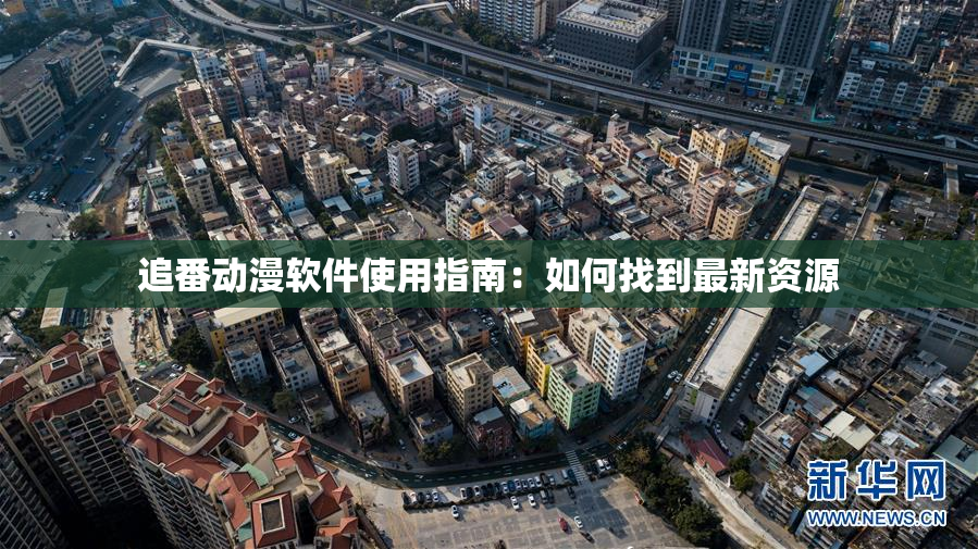 追番动漫软件使用指南：如何找到最新资源