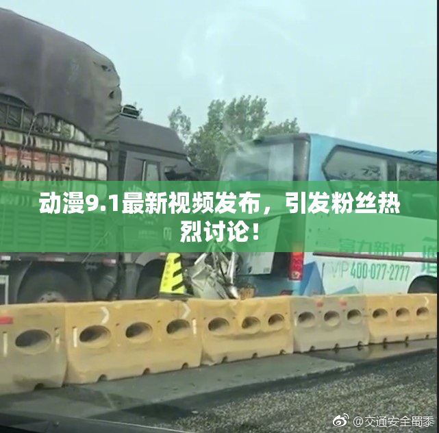 动漫9.1最新视频发布，引发粉丝热烈讨论！