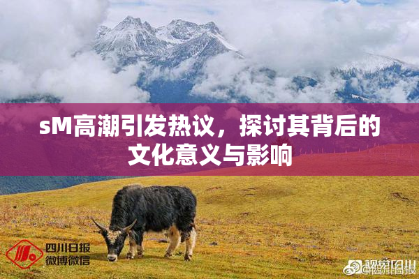 sM高潮引发热议，探讨其背后的文化意义与影响