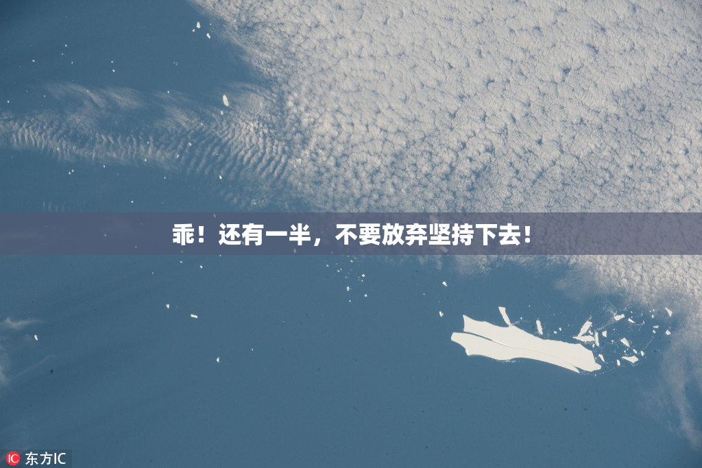 乖！还有一半，不要放弃坚持下去！