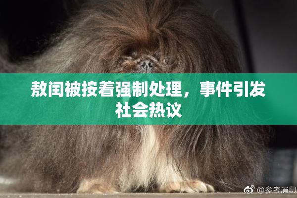 敖闰被按着强制处理，事件引发社会热议